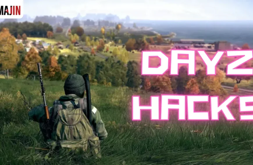 DayZ Hacks, Cheats, and Aimbot Safest Hacks