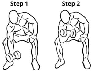 Dumbbell Concentration curls