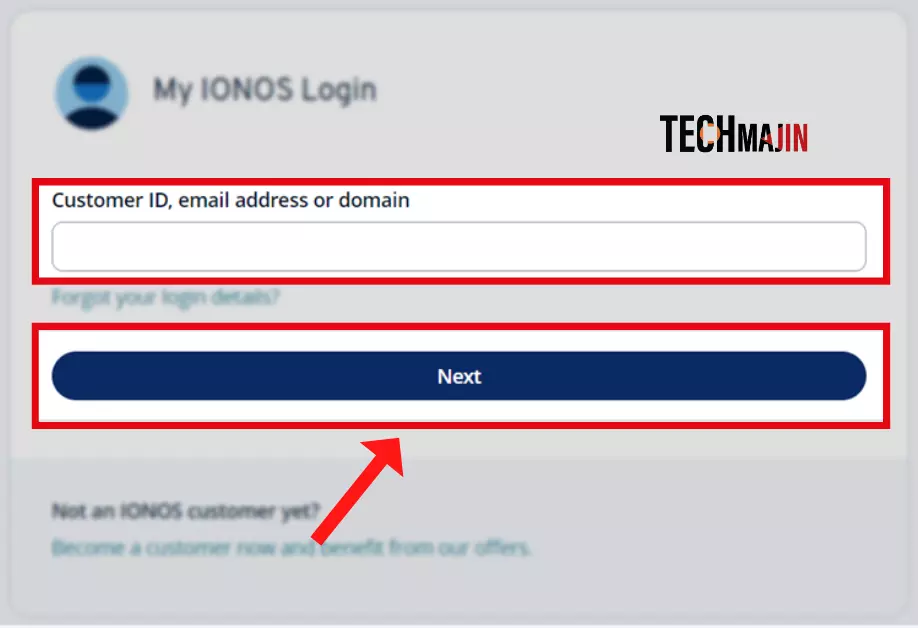 Enter your Customer ID, email address or domain and click ‘Next’