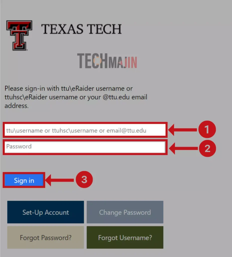 Enter your username, which can be your TTUHSC username or email address and your password then click on sign in on TTU blackboard login portal