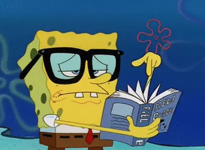 Spongebob reading book