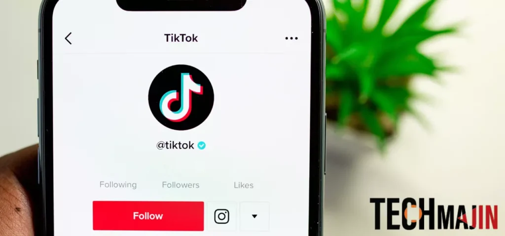 TikTok for OnlyFans Search