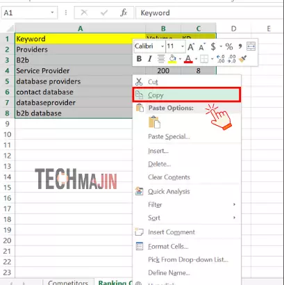 place data in excel right click and choose copy option